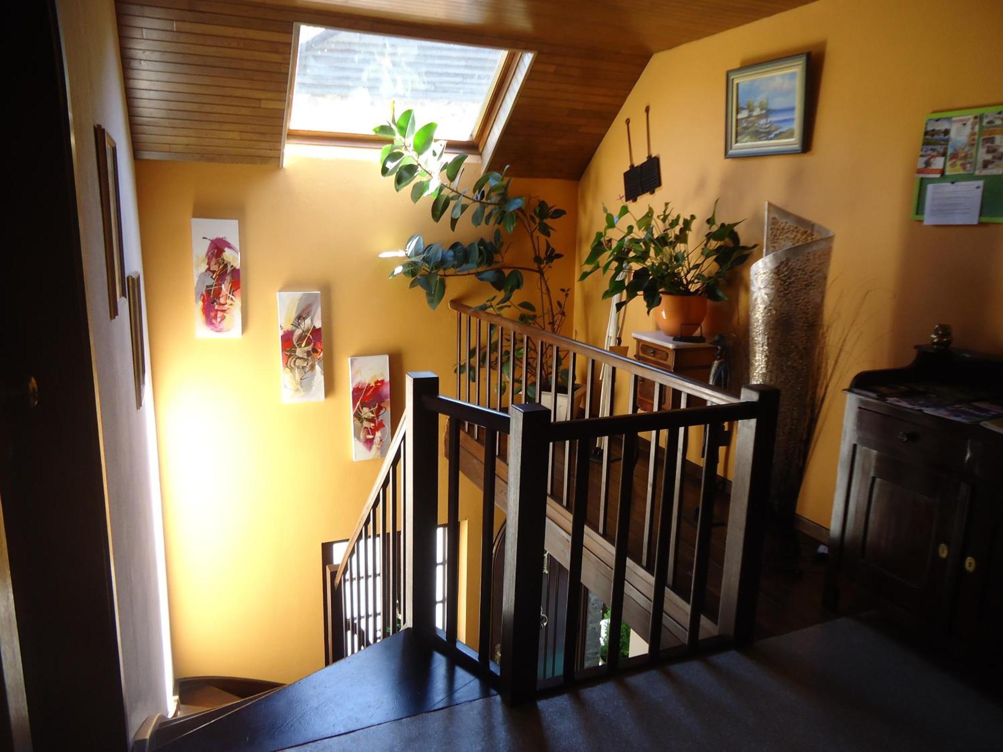 Apartment Clara *